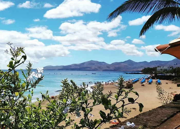 Apartamento Albatros *