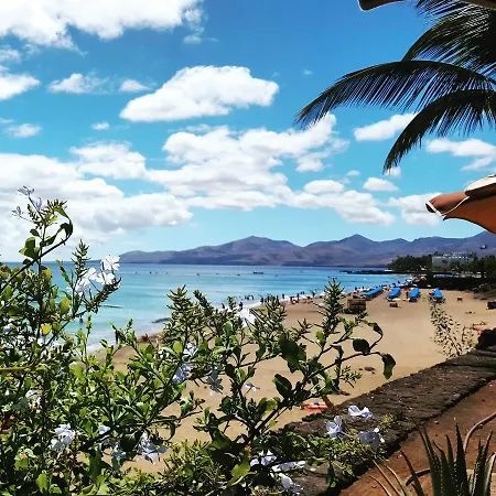 Apartment Albatros *